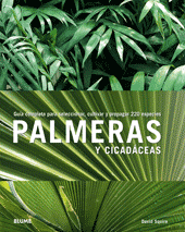 PALMERAS Y CICAD�CEAS