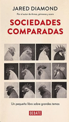 SOCIEDADES COMPARADAS